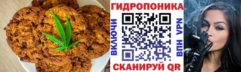 Купить закладки  Красный Холм  Canna-Cookies конопля 