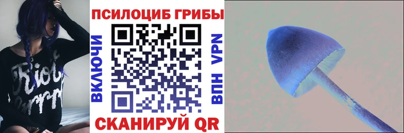 Купить закладки  Красный Холм  Галлюциногенные грибы Magic Shrooms 